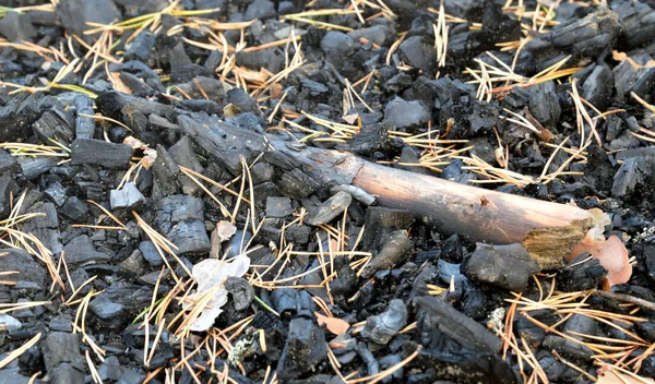 Залишки Деревного Вугілля Попелу Після Спалення Вогню — стокове фото