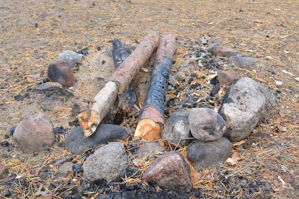 Des Branches Pin Non Brûlées Dans Feu Rapprochent — Photo