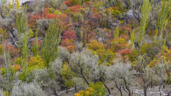 Autumn Hunza Valley Northern Area Pakistan — Stock Photo, Image