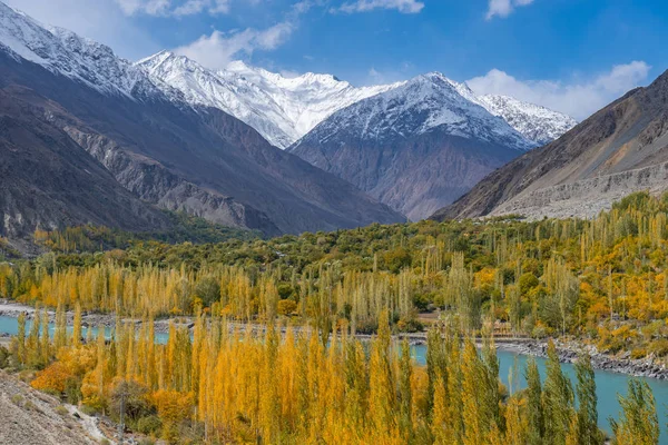 Ősszel Ghizer Völgyben Pakisztán Északi Terület — Stock Fotó