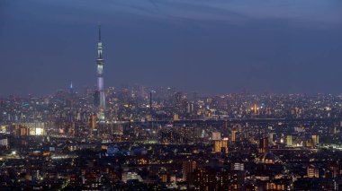 Tokyo şehir manzaralı Tokyo gökyüzü ağaç Simgesel Yapı ile