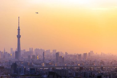 Tokyo şehir manzaralı Tokyo gökyüzü ağaç Simgesel Yapı ile