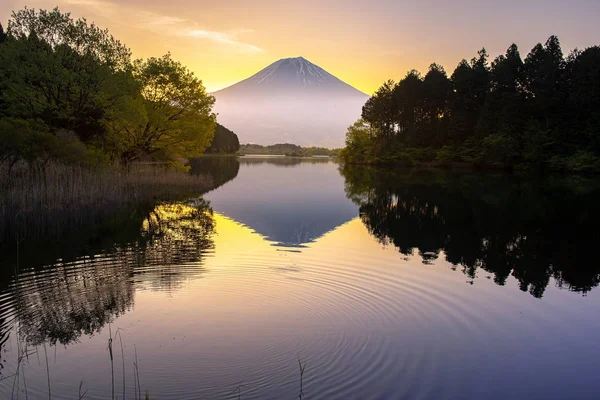 Reflexão Monte Fuji Lago Tanuki — Fotografia de Stock