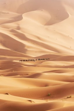 Sahra Çölü 'nde güzel kum tepeleri.
