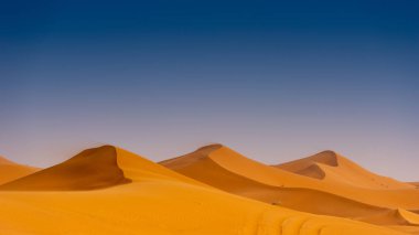 Sahra Çölü 'nde güzel kum tepeleri.