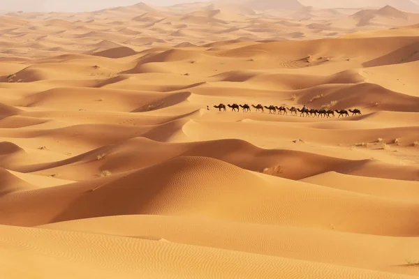 Piękne wydmy na Saharze. — Zdjęcie stockowe