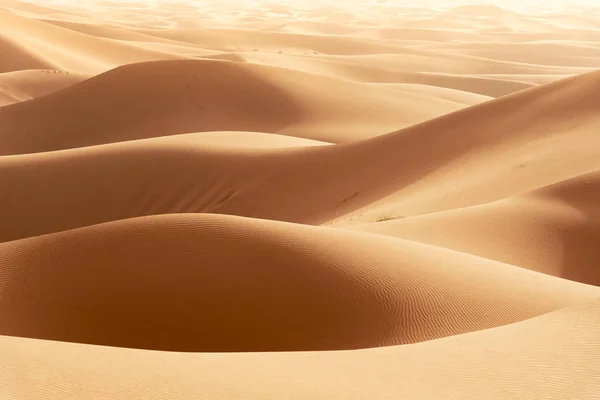 Beautiful sand dunes in the Sahara desert. — Stock Photo, Image