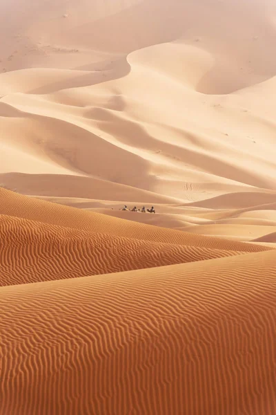 Belles dunes de sable dans le désert du Sahara. — Photo