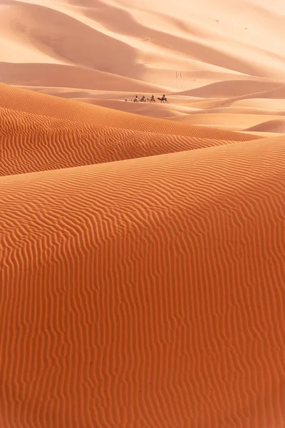 Belles dunes de sable dans le désert du Sahara. — Photo