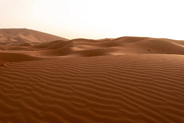 Belles dunes de sable dans le désert du Sahara. — Photo