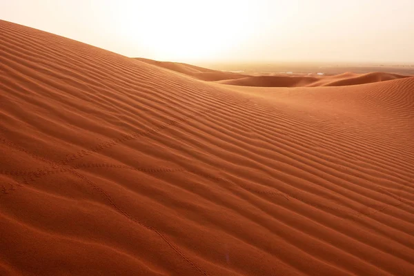 Belles dunes de sable dans le désert du Sahara. — Photo