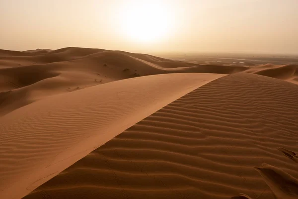 Belles dunes de sable dans le désert du Sahara. — Photo