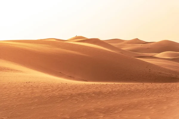 Belles dunes de sable dans le désert du Sahara. — Photo