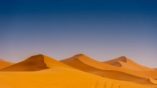 Belle dune di sabbia nel deserto del Sahara. — Foto Stock