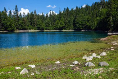 Zabojsko Gölü Durmitor Milli Parkı, Karadağ