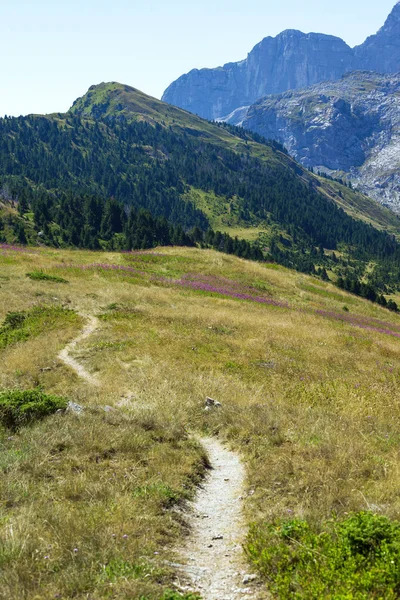 Smalle Trail Een Bergen — Stockfoto