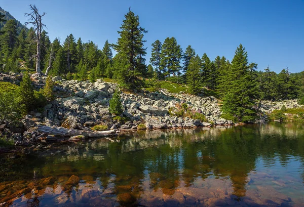 Increíble Vista Del Lago Hridsko Las Montañas Montenegro —  Fotos de Stock