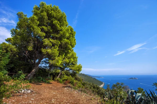 Fantastisk Utsikt Adriaterhavet Fra Utsiktspunktet Lustica Halvøya Montenegro – stockfoto