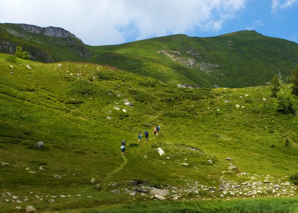 Grup Üzerinde Bir Bir Dağlarda Yürüyüş Yürüyüşçü — Stok fotoğraf