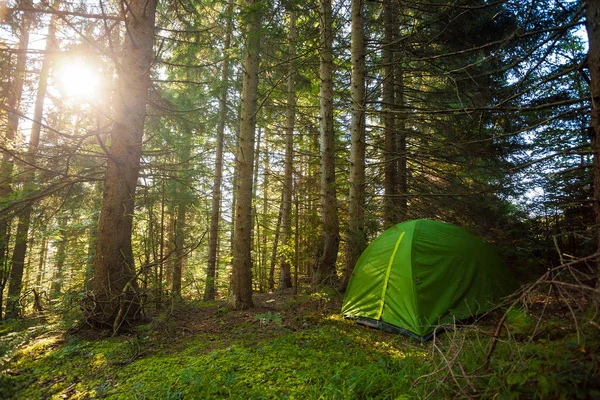 Туристическая Палатка Глубоком Лесу Утренним Солнцем — стоковое фото