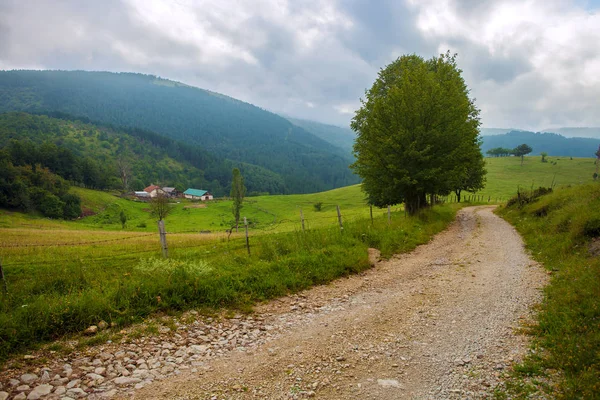 Paysage Serein Dans Nord Monténégro — Photo