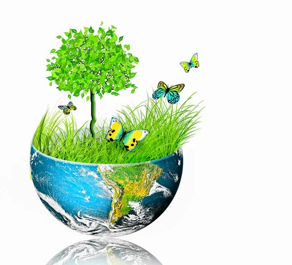 Ecological concept of the environment with the cultivation of trees . Planet Earth. Physical globe of the earth. Elements of this image furnished by NASA. 3D illustration — Stock Photo, Image