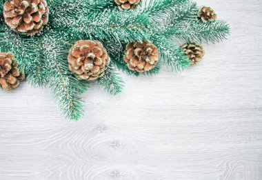 Noel ve yeni yıl kompozisyon. Çam kozalakları, Ladin sutyen