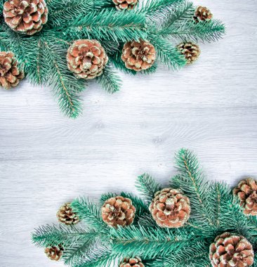 Noel ve yeni yıl kompozisyon. Çam kozalakları, Ladin sutyen