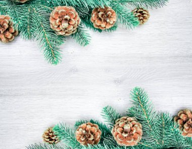 Noel ve yeni yıl kompozisyon. Çam kozalakları, Ladin sutyen