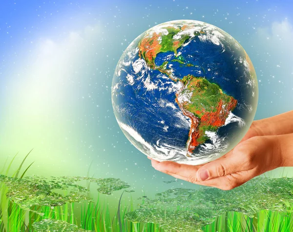Ecological concept of the environment with the cultivation of trees on the ground in the hands. Planet Earth. Physical globe of the earth. Elements of this image furnished by NASA. 3D illustration — Stock Photo, Image