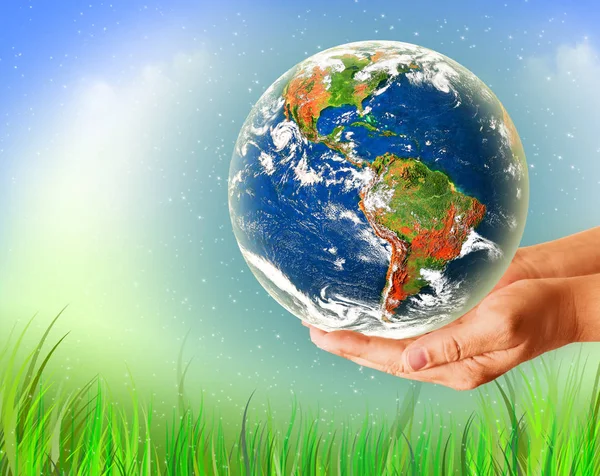 Ecological concept of the environment with the cultivation of trees on the ground in the hands. Planet Earth. Physical globe of the earth. Elements of this image furnished by NASA. 3D illustration — Stock Photo, Image