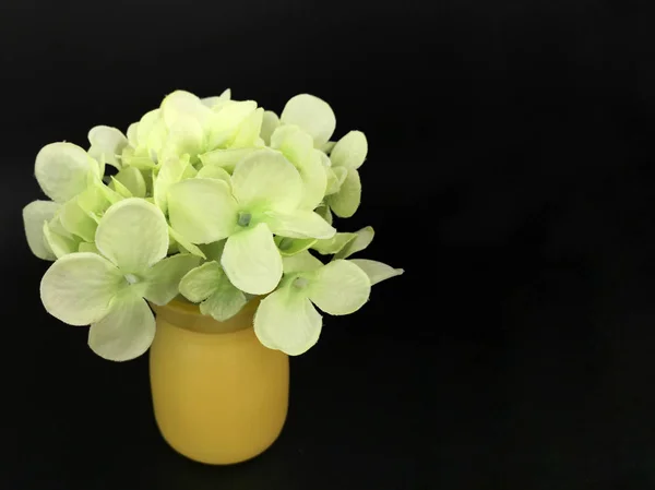 Blomma Vasen Isolerad Svart Bakgrund — Stockfoto