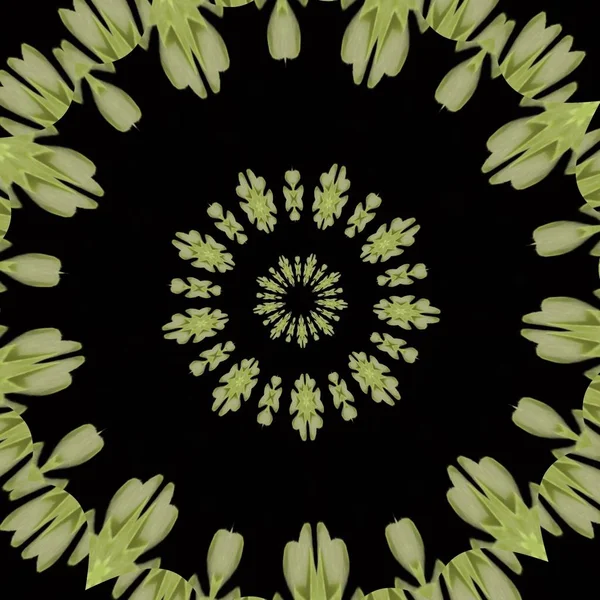Kaleidoscope effect mandala floral pattern