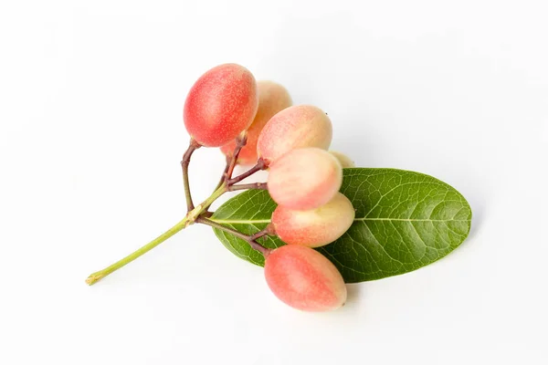 Karonda Nebo Luccy Carandas Linn Ovoce Listy Izolované Bílém Pozadí — Stock fotografie