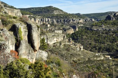 Güzel görünümü gorge ve orman Cuenca ile büyümüş kayalıklarla.