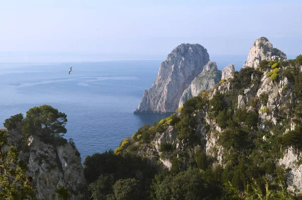 Capri Adası Yakınlarında Denizden Çıkan Pitoresk Kayalıklar — Stok fotoğraf