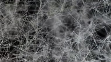 3D resimli karışık jattice ağ arka plan döngü. Neural net veya geometrik örümcek ağı benzer. 1920 x 1080. uzunluğunda 30 saniye.