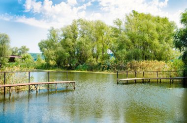 Köprü ve yeşil ağaçlarıyla güzel gölet