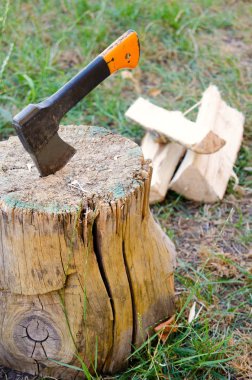 eski bir güdük AX'te