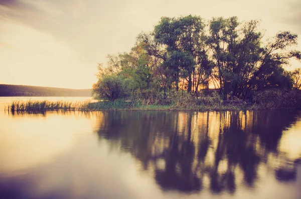 美丽的湖与芦苇和树 — 图库照片