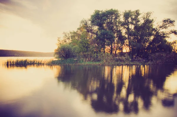 Belo Lago Com Bulrush Árvores — Fotografia de Stock