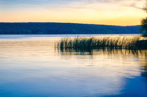 Belo Lago Com Bulrush Árvores — Fotografia de Stock