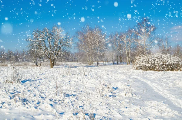 Winterlandschap — Stockfoto