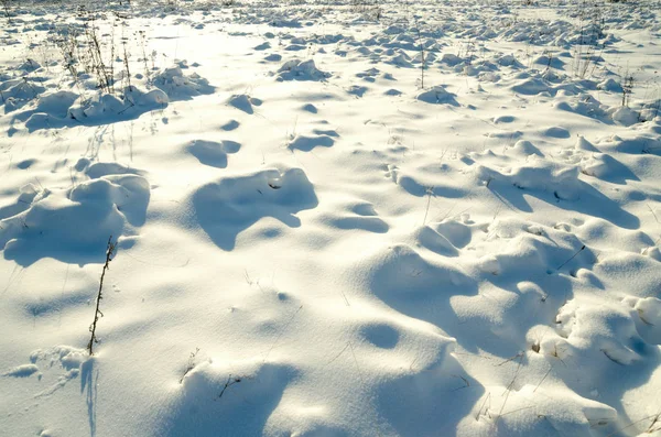 Χιόνι πεδίο — Φωτογραφία Αρχείου