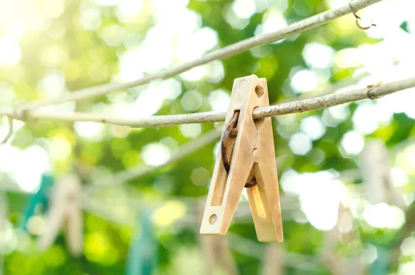 Eski clothespin — Stok fotoğraf