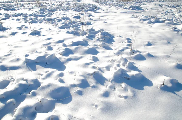 Campo de nieve — Foto de Stock