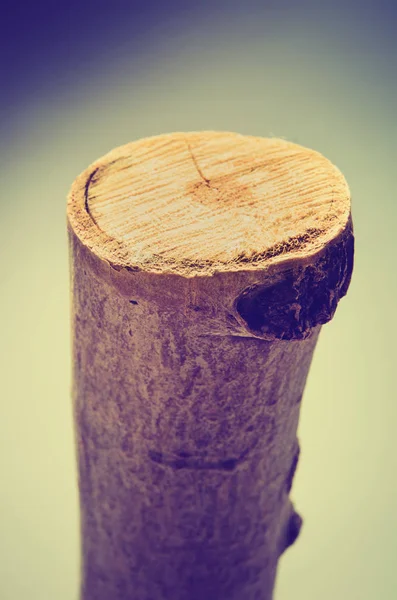 Wooden log — Stock Photo, Image