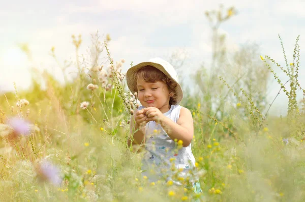 Kleiner Junge Auf Der Wiese — Stockfoto