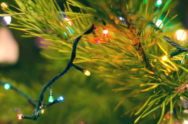 Árbol Navidad Con Luces Guirnalda Primer Plano —  Fotos de Stock