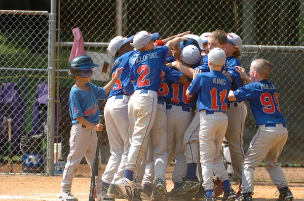 stock image Little League Baseball In Action.